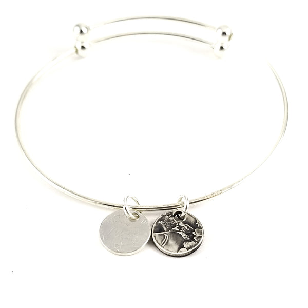 national park coin charm bangle by midnight jo